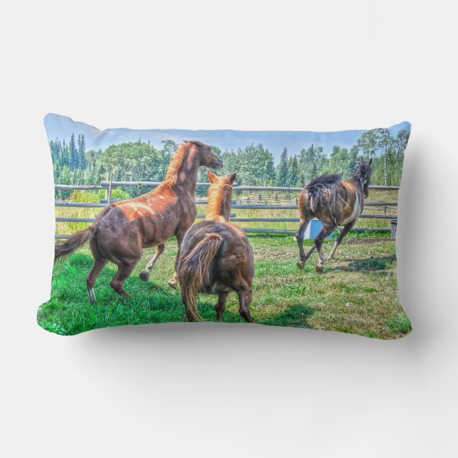 Running Pinto Paint Gelding & Chestnut Stallions Lumbar Cushion (Front)