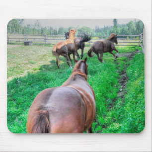 Running Pinto Paint Gelding & Chestnut Stallions Mouse Pad