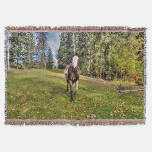 Running Pinto Paint Horse & Forest on Ranch Throw Blanket