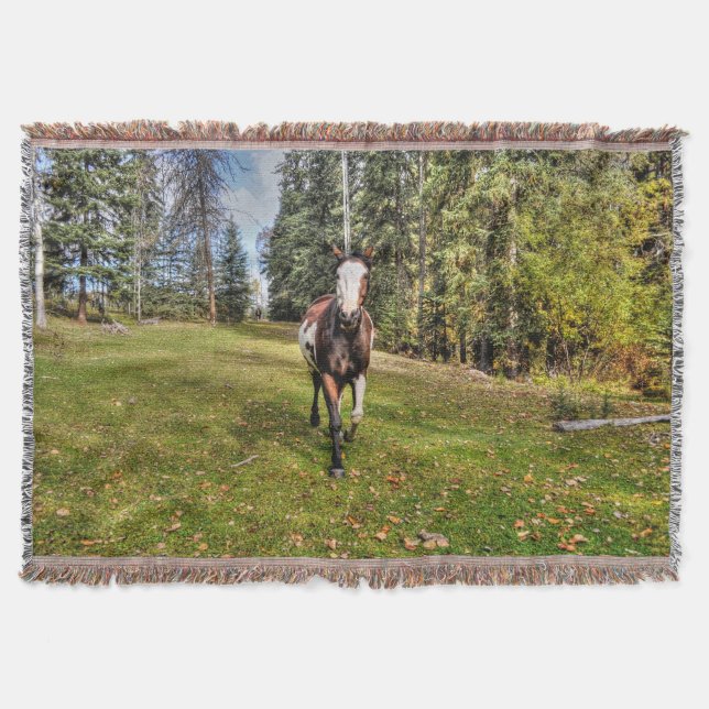 Running Pinto Paint Horse & Forest on Ranch Throw Blanket (Front)