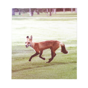 running red fox photograph notepad