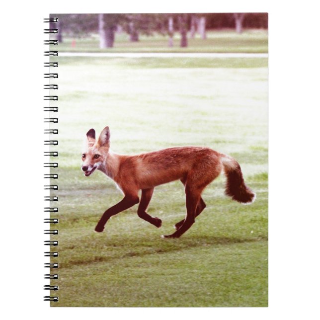 running red fox photograph spiral notebook (Front)
