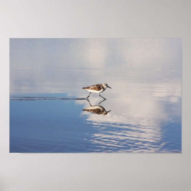 Running Reflection 2 Poster (Front)