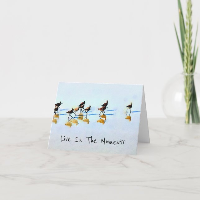 Running Sandpipers on Hilton Head Beach Thank You Card (Front)