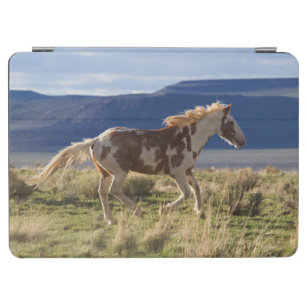 Running Stallion, Steens Mountains, Oregon iPad Air Cover