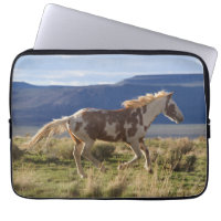 Running Stallion, Steens Mountains, Oregon