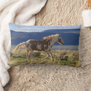 Running Stallion, Steens Mountains, Oregon Lumbar Cushion