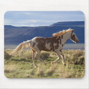 Running Stallion, Steens Mountains, Oregon Mouse Pad