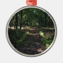 Running Trails are the best Trails