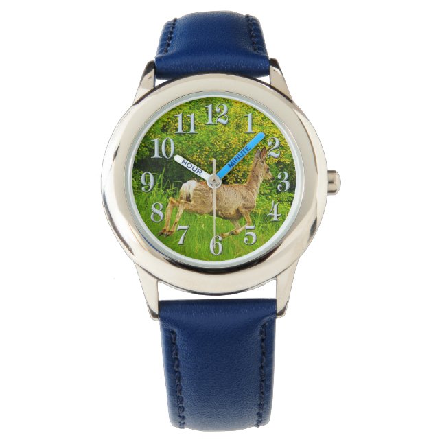 Running Whitetail Deer and Grasses Wildlife watch (Front)