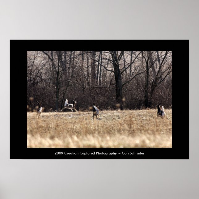 Running Whitetail Poster (Front)