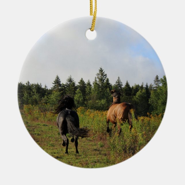 Running Wild Ceramic Tree Decoration (Front)
