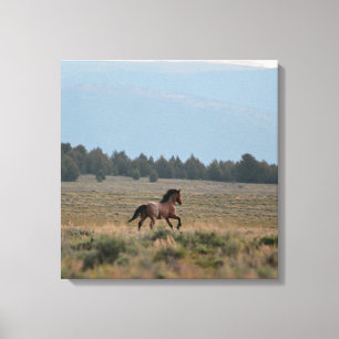 Running Wild Roan Canvas Print