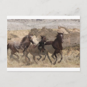 Running with the wild ones postcard