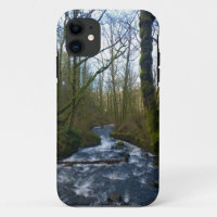 Runoff from Bridal Veil Falls, OR