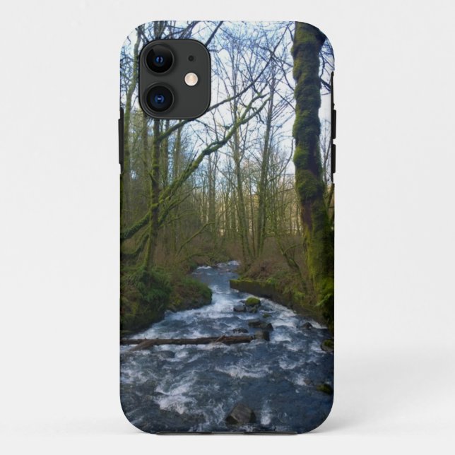 Runoff from Bridal Veil Falls, OR Case-Mate iPhone Case (Back)