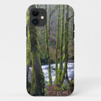 Runoff from Bridal Veil Falls, OR