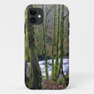 Runoff from Bridal Veil Falls, OR Case-Mate iPhone Case