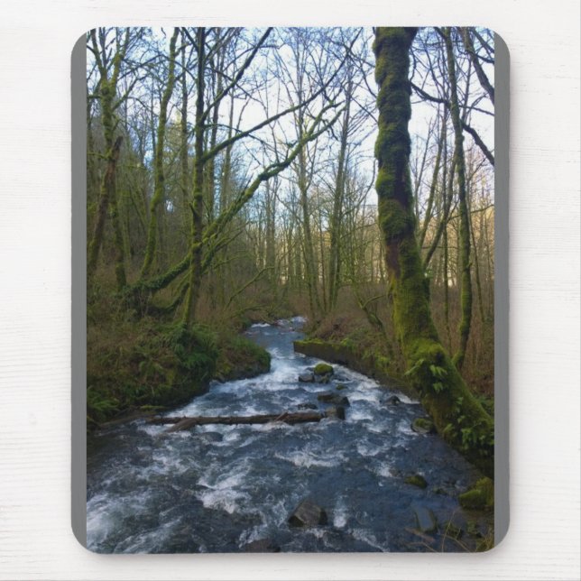 Runoff from Bridal Veil Falls, OR Mouse Pad (Front)