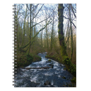 Runoff from Bridal Veil Falls, OR Notebook