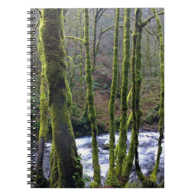 Runoff from Bridal Veil Falls, OR Notebook (Front)