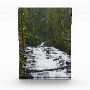 Runoff from Bridal Veil Falls, OR Photo Block