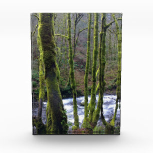 Runoff from Bridal Veil Falls, OR Photo Block