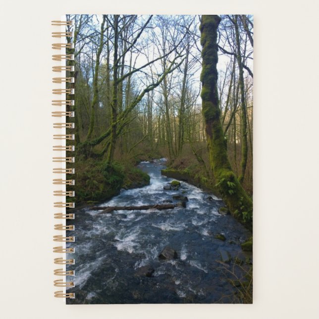 Runoff from Bridal Veil Falls, OR Planner (Front)