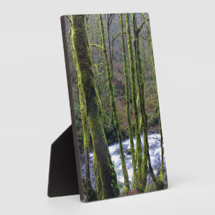 Runoff from Bridal Veil Falls, OR Plaque