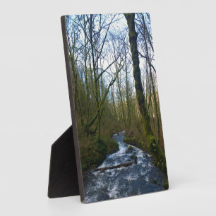 Runoff from Bridal Veil Falls, OR Plaque