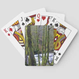 Runoff from Bridal Veil Falls, OR Playing Cards
