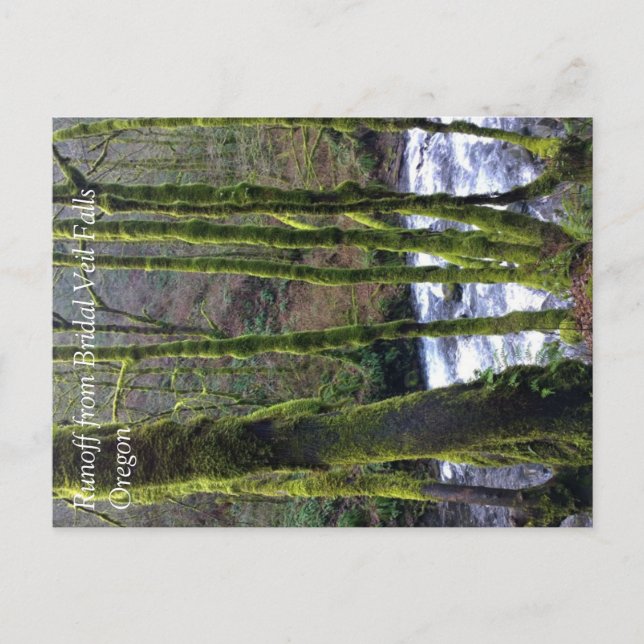 Runoff from Bridal Veil Falls, OR Postcard (Front)