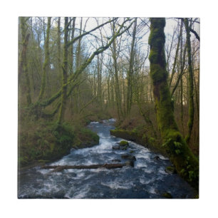 Runoff from Bridal Veil Falls, OR Tile