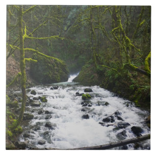 Runoff from Bridal Veil Falls, OR Tile