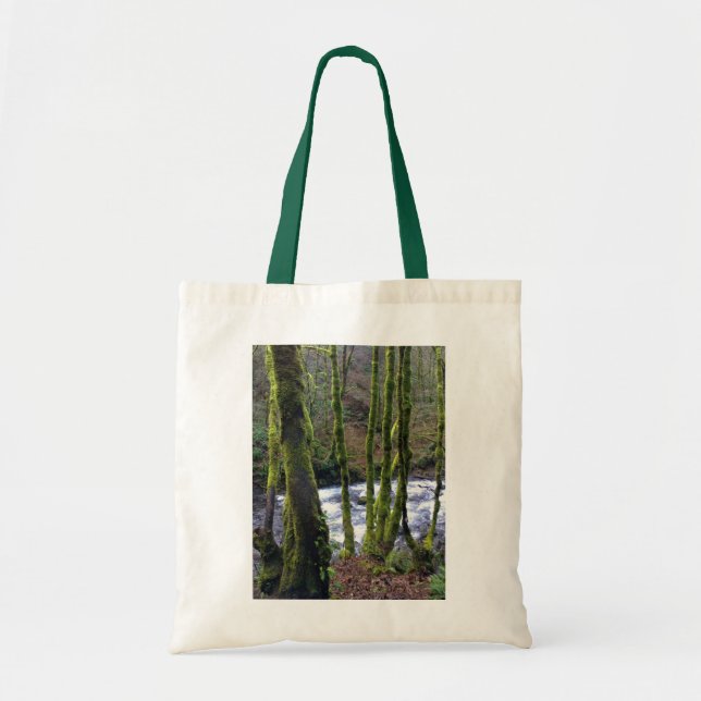 Runoff from Bridal Veil Falls, OR Tote Bag (Front)