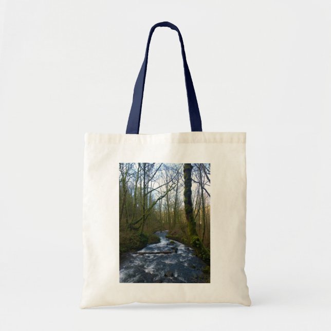 Runoff from Bridal Veil Falls, OR Tote Bag (Front)
