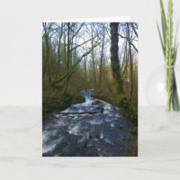 Runoff from Bridal Veil Falls, Oregon