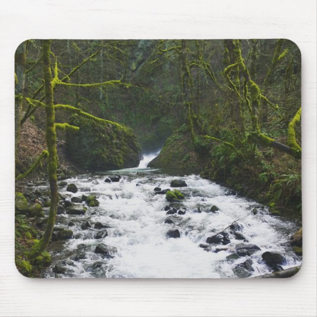 Runoff from Bridal Veil Falls, Oregon Mouse Pad (Front)