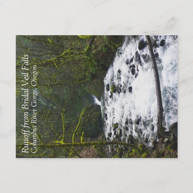 Runoff from Bridal Veil Falls, Oregon Postcard (Front)