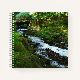 Runoff from Wahkeena Falls, OR Notebook
