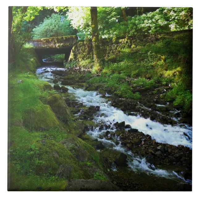 Runoff from Wahkeena Falls, OR Tile (Front)