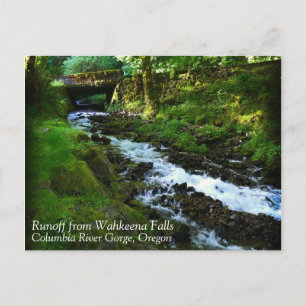 Runoff from Wahkeena Falls, Oregon Postcard