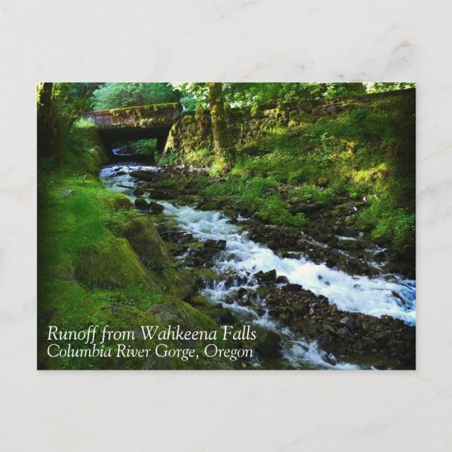 Runoff from Wahkeena Falls, Oregon Postcard (Front)