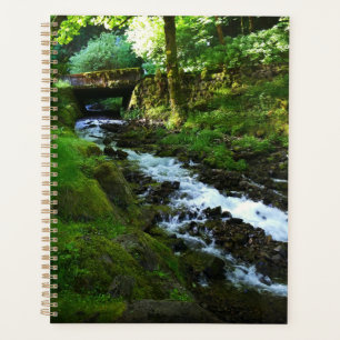 Runoff from Wahkeena Falls Planner