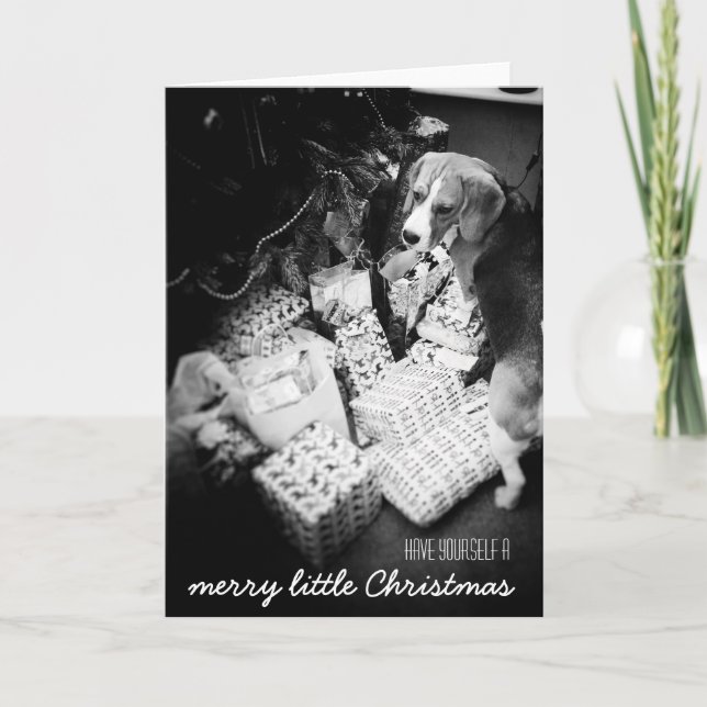 Rupert the Beagle Christmas Card (Front)