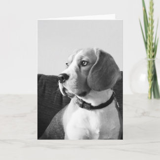 Rupert the Beagle Dog Blank Greetings Card