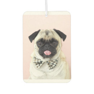 Rupert The Pug Car Air Freshener