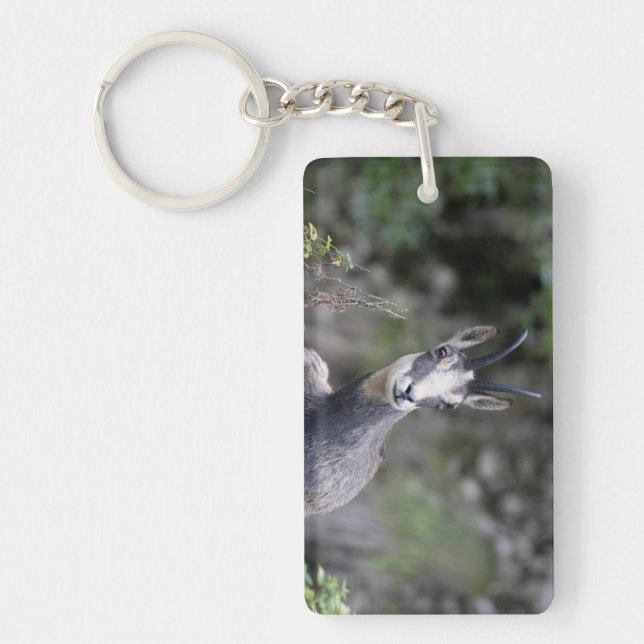 Rupicapra rupicapra key ring (Front)