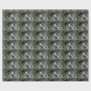 Rupicapra rupicapra wrapping paper
