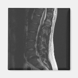 Ruptured Disc Magnet
